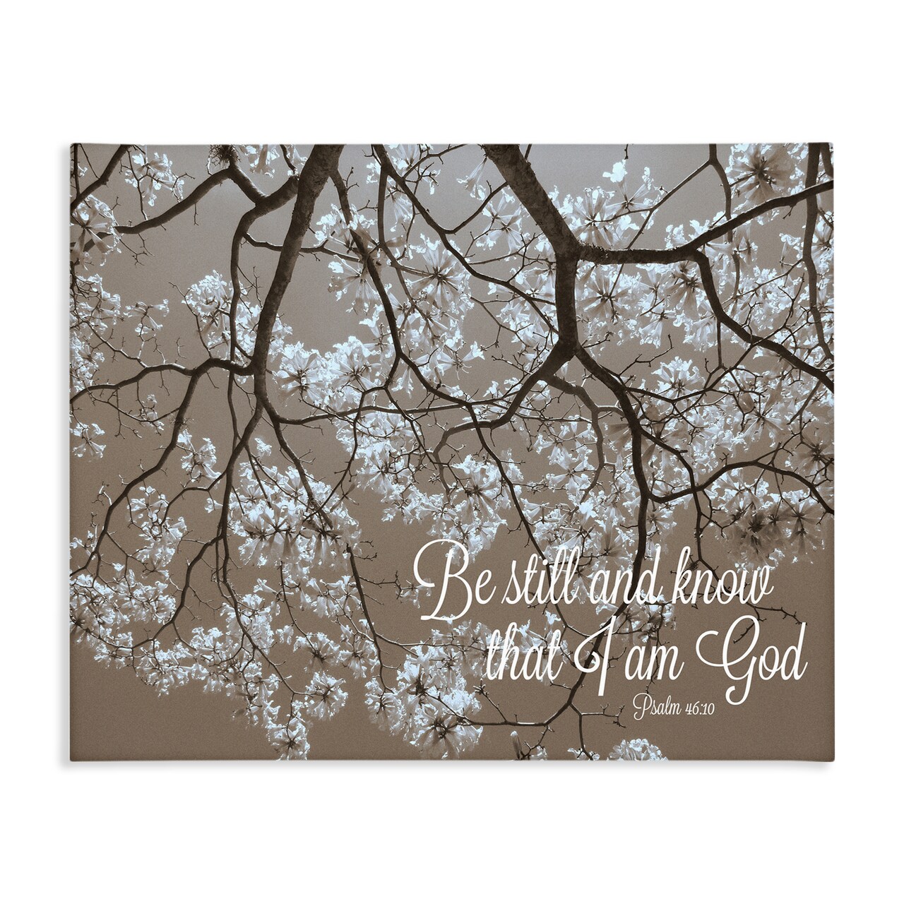 Stupell Industries Be Still Apple Blossoms Canvas, design by Gail Peck